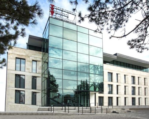 East European University