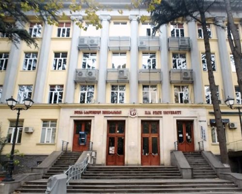 Ilia State University