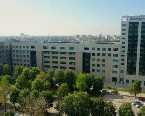 Romanian-American University